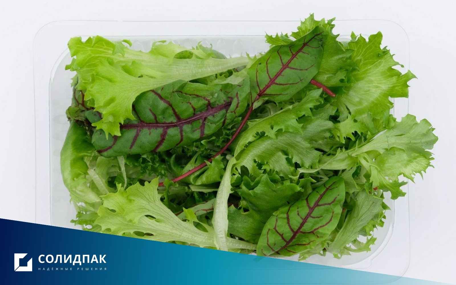 упаковка салата в мгс